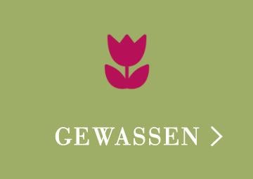 Gewassen