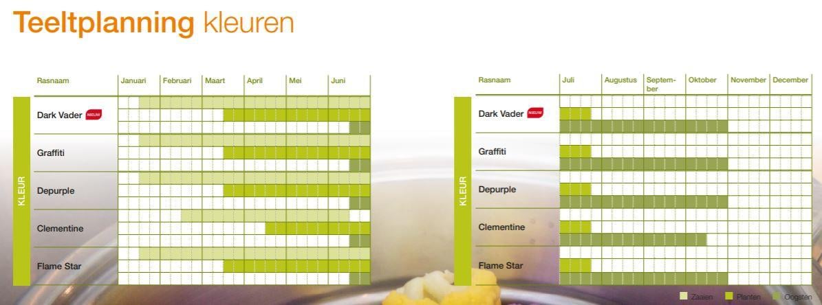 Syngenta marktleider in bloemkool