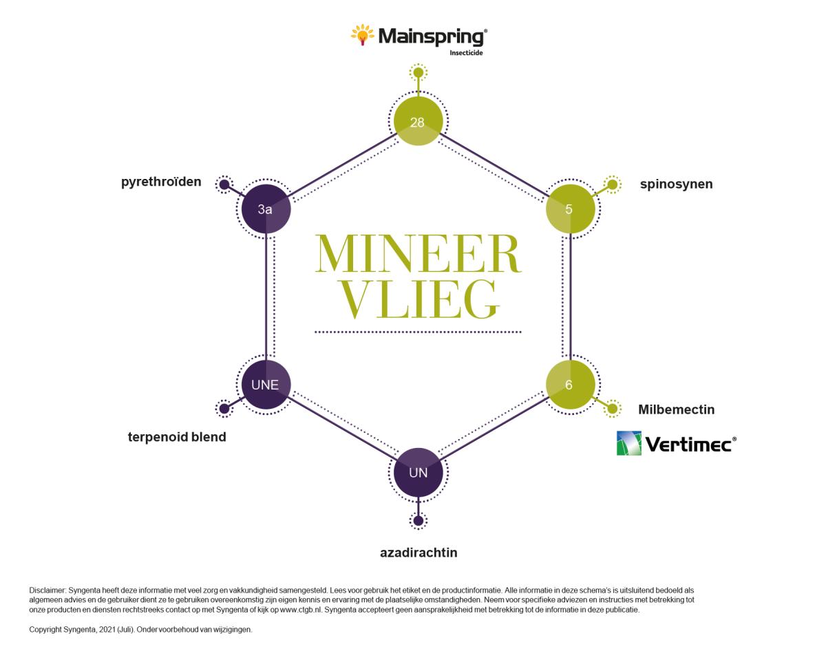 Mineervlieg