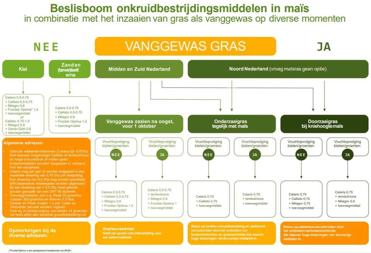 Onkruidbestrijding in maïs