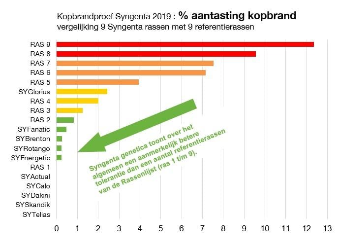 Aantasting kopbrand grafiek . Syngentarassen zijn doorgaans in hoge mate tolerant tegen kopbrand
