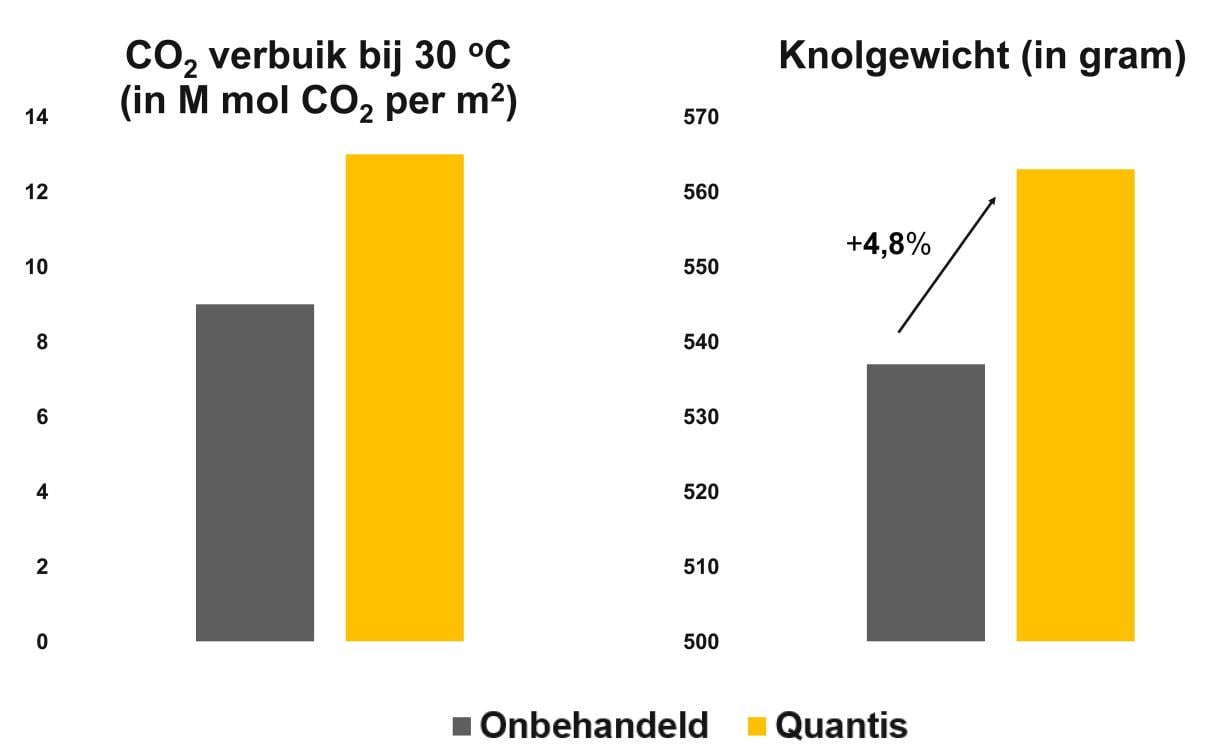 Quantis BNL proef 2021