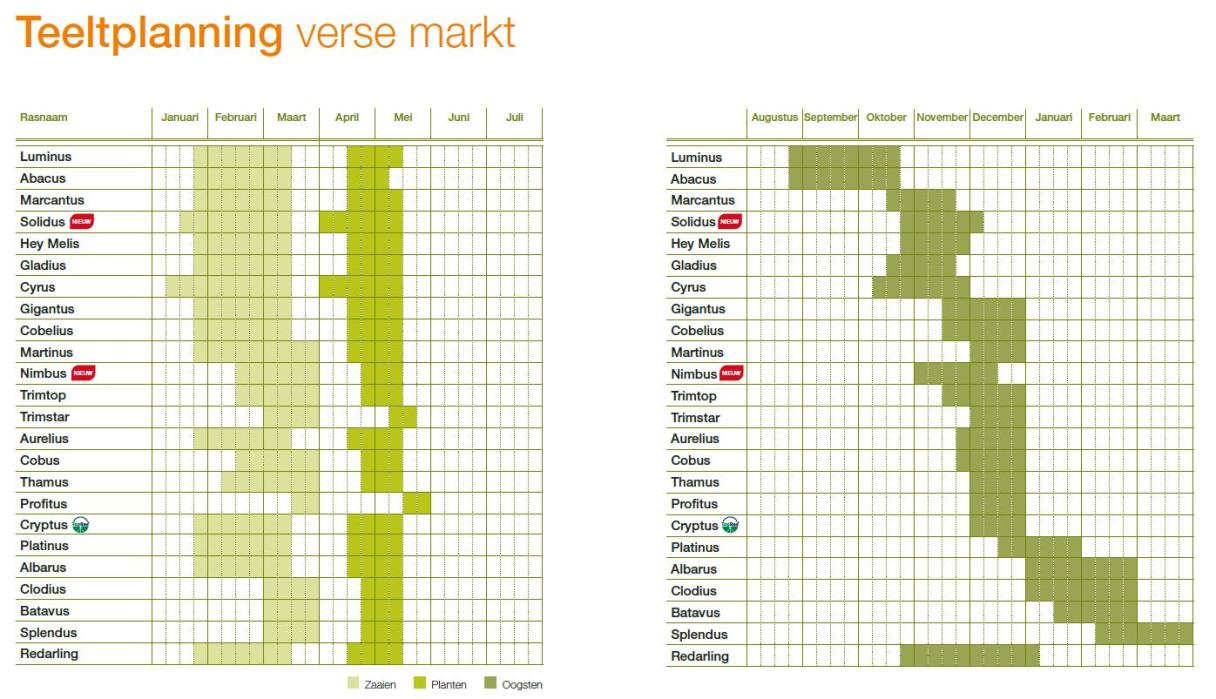 Teeltplanning verse markt 