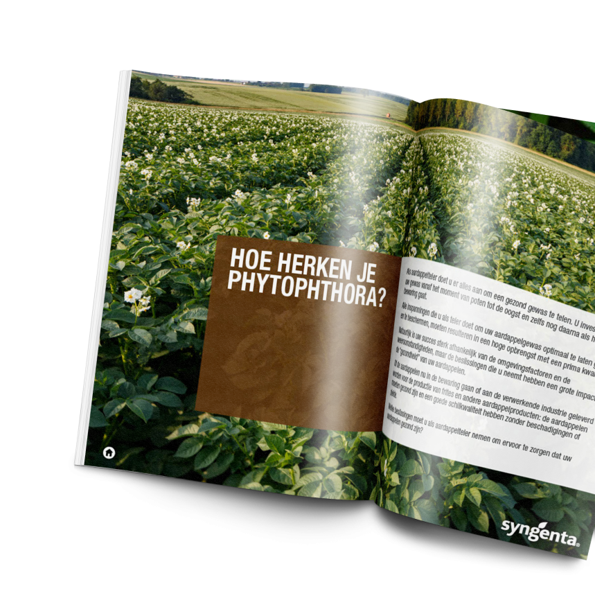 Brochure voor gratis download met informatie over de bestrijding van Phytophthora in de vroege loefgroeifase van het aardappelgewas.