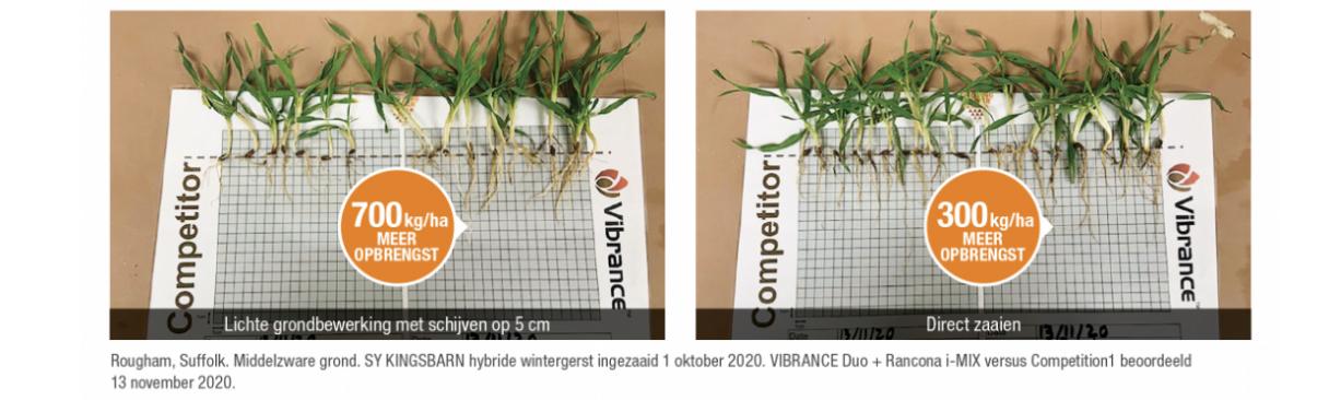 Seedcare zaaizaad vergelijking