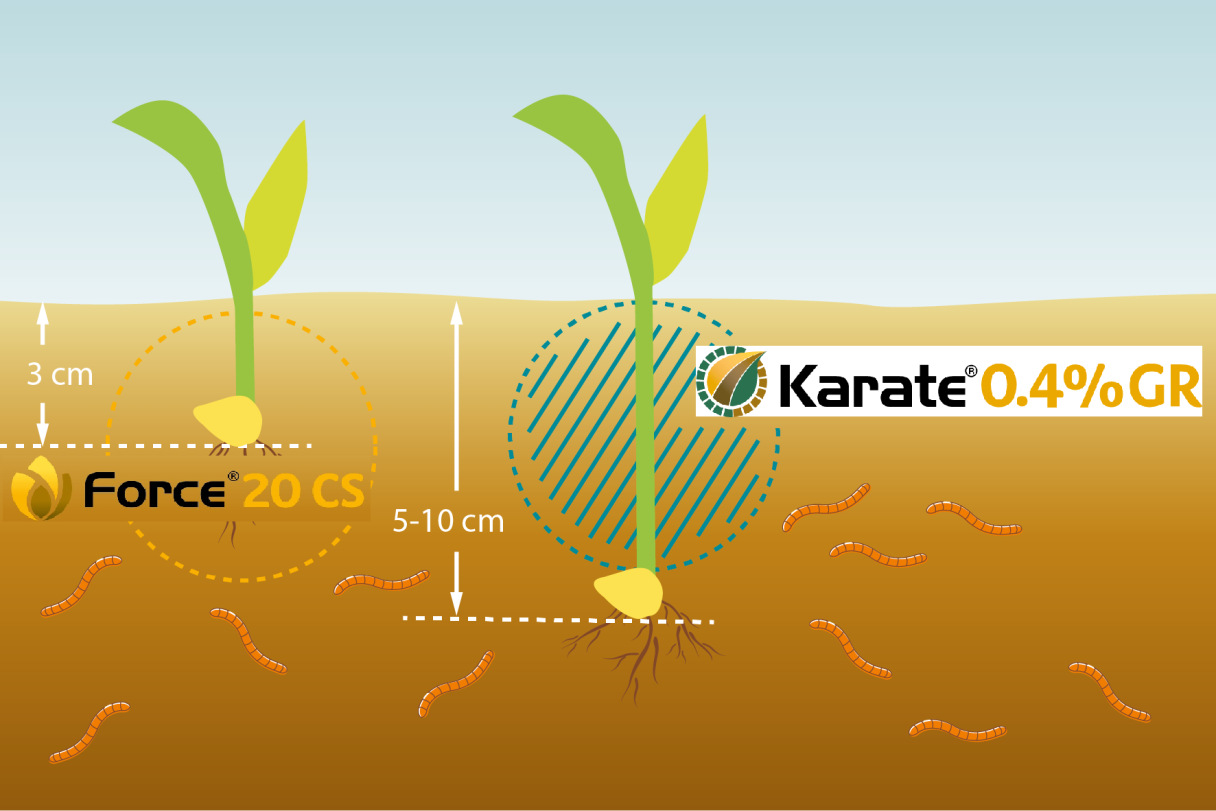 Werking Karate 0.4GR en Force CS