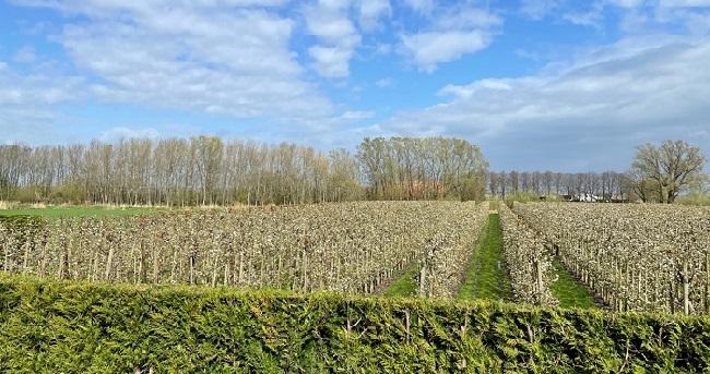 650x343_bnl_perengaard_in_april.jpg