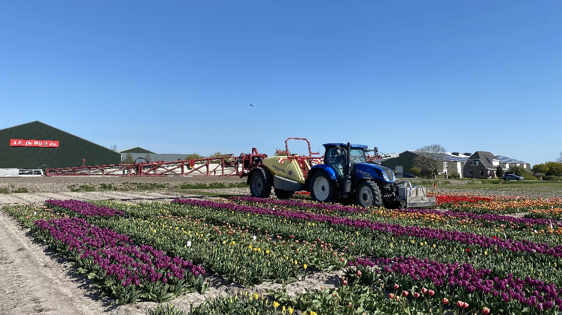 Spuittechniek in tulpen met +95% driftreductie