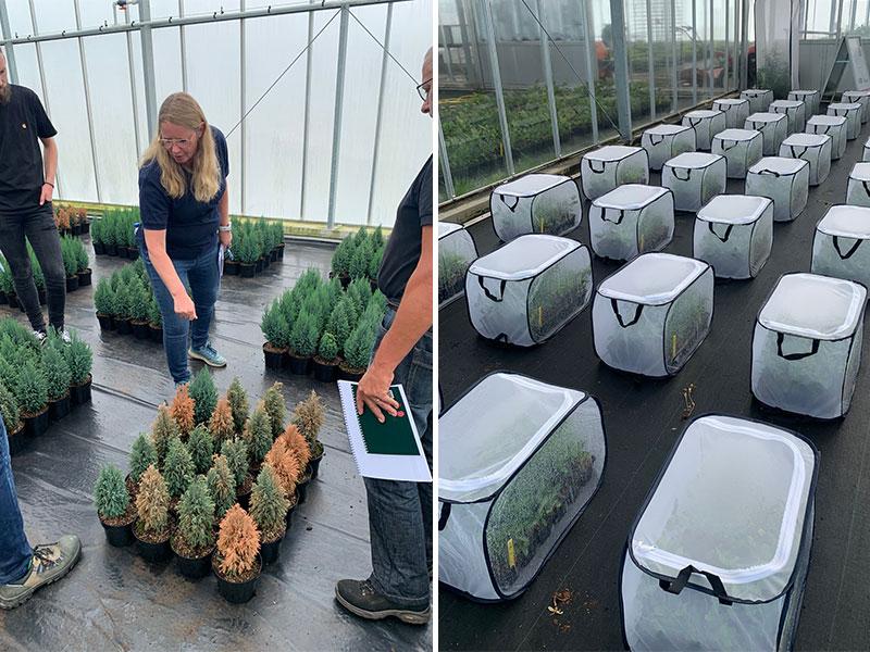 Terugblik op de Syngenta Technical Days