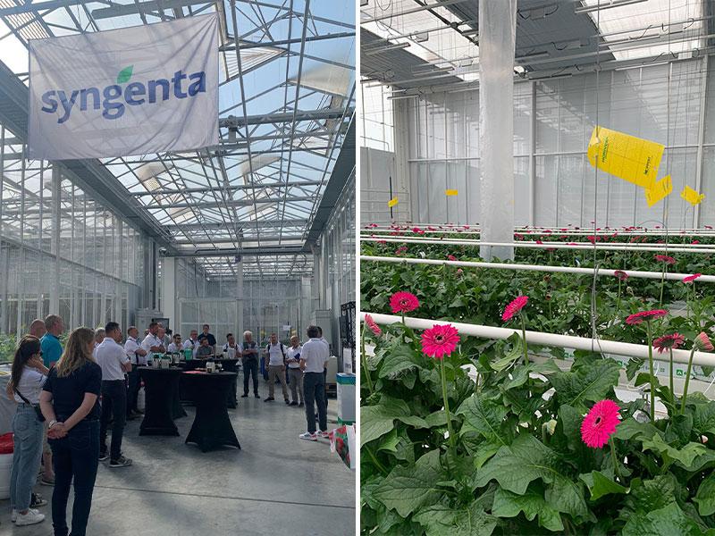 Terugblik op de Syngenta Technical Days