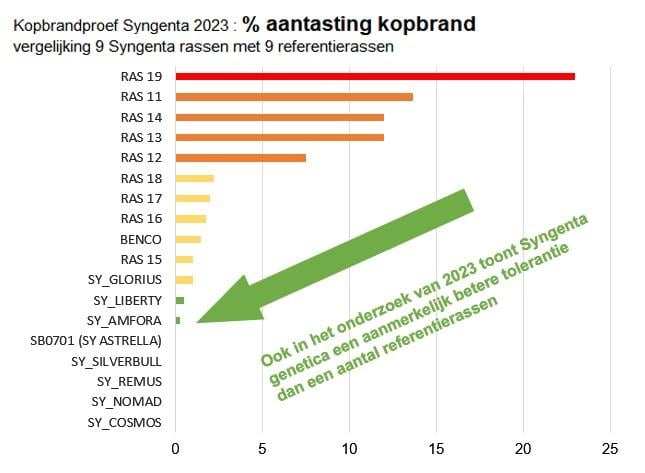 ponderoek laat zien dat Syngenta genetica een aanmerkelijk betere tolerantie  tegen maiskopbrand dan de referentiersssen