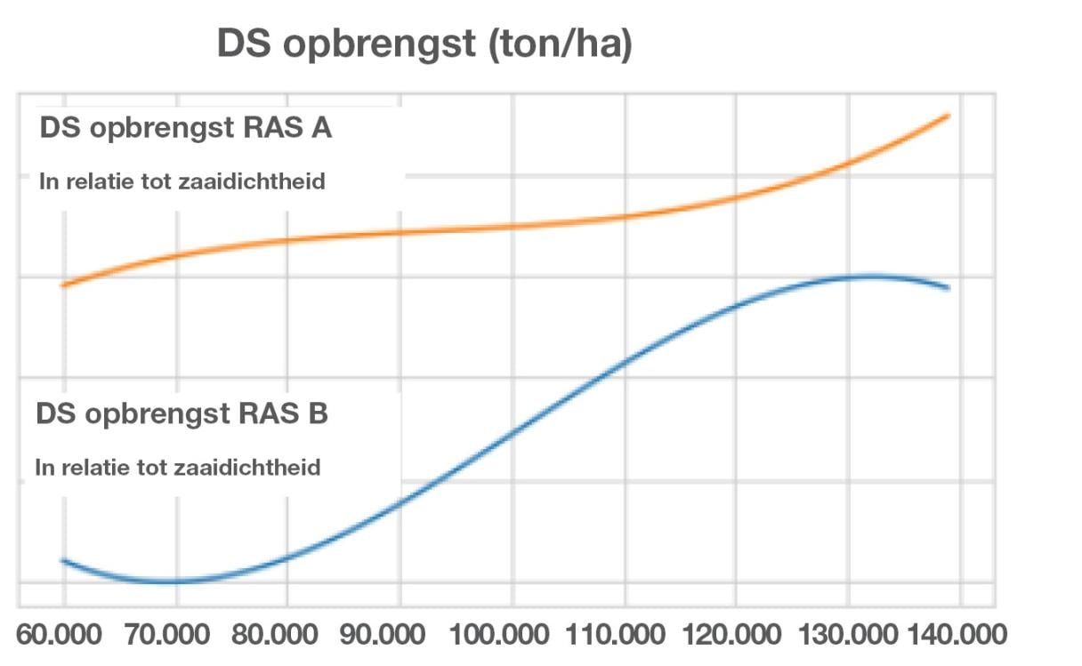 DS opbrengst bij verschillende zaaidichtheden mais