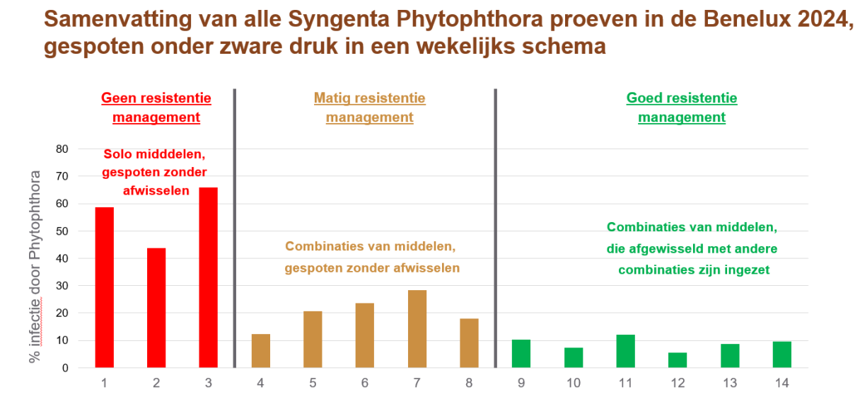Werking middelen tegen Phytophthora in 2024