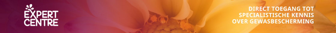 Banner Expert Centre