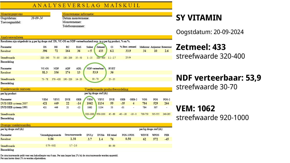 SY VITAMIN: Gecombineerd met een zeer vroegrijpe kolf en sterke kop- en builenbrandtolerantie is SY VITAMIN het ras met de allerhoogste zetmeel per kilogram drogestof (106 gecorrigeerd naar 35% DS). SY VITAMIN is dit jaar nieuw aanbevolen op de Nederlandse Rassenlijst Vroeg en heeft de afgelopen jaren zeer goede praktijkervaringen. 