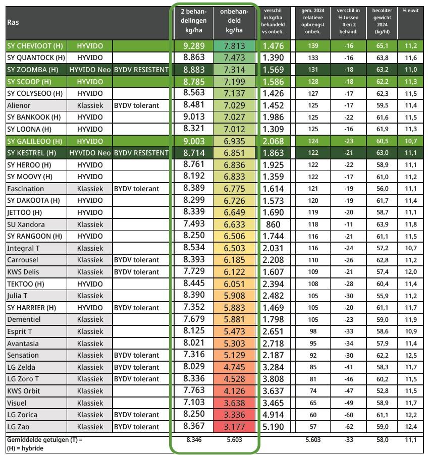 CARAH resultaten 2024 wintergerst behandeld met 2 fungicidebespuitingen , 14 van de 15 rassen aan top zijn HYVDO hybride wintergerstrassen - SYNGENTA BOVENAAN 