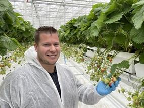 285x214_bnl_maikel_bij_de_aardbeien_-pchoogstraten.jpg