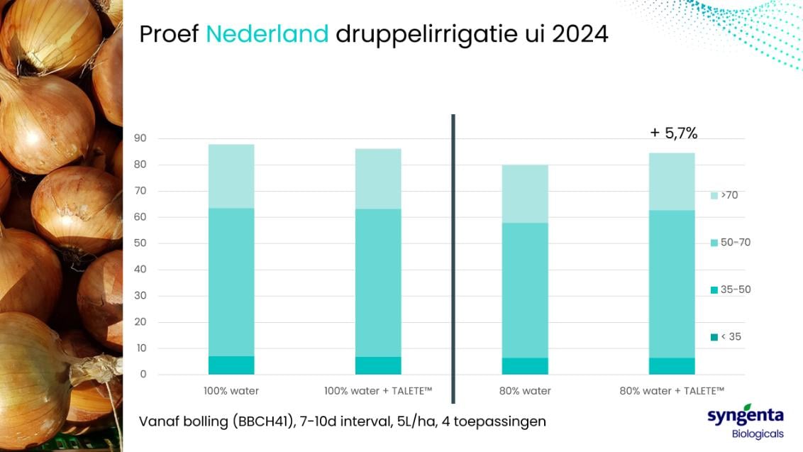 Nieuws artikel 002