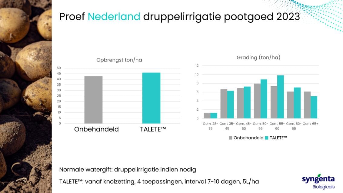 Nieuws 003