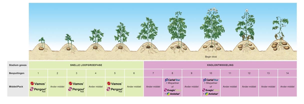 schema middelen cons