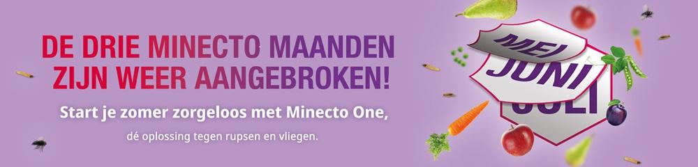 web_banner_nl_minecto_one1000x240