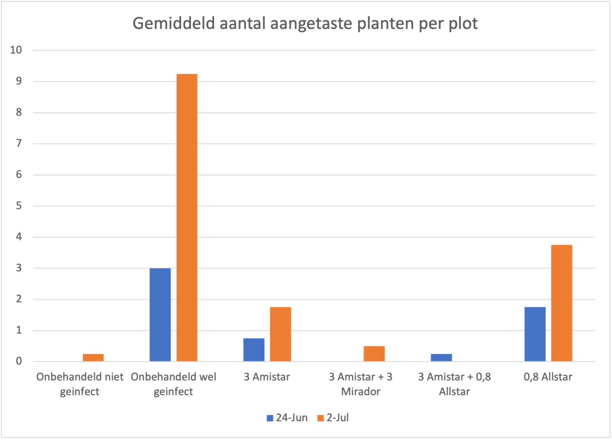 Gemiddeld aantal planten met Rhizoctonia op het veld