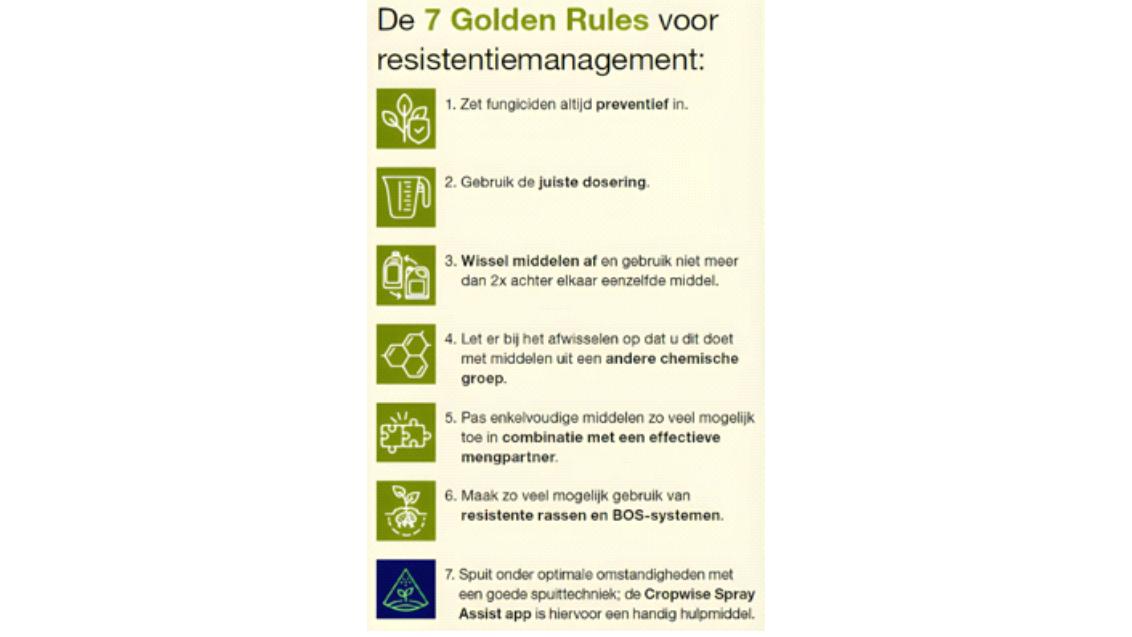 7 golden rules
