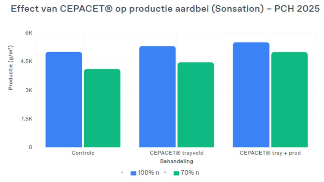 Staafgrafiek met effect van CEPAECTB op aardbeiproductie; blauwe en groene balken per locatie.