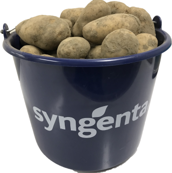 gezonde aardappelen