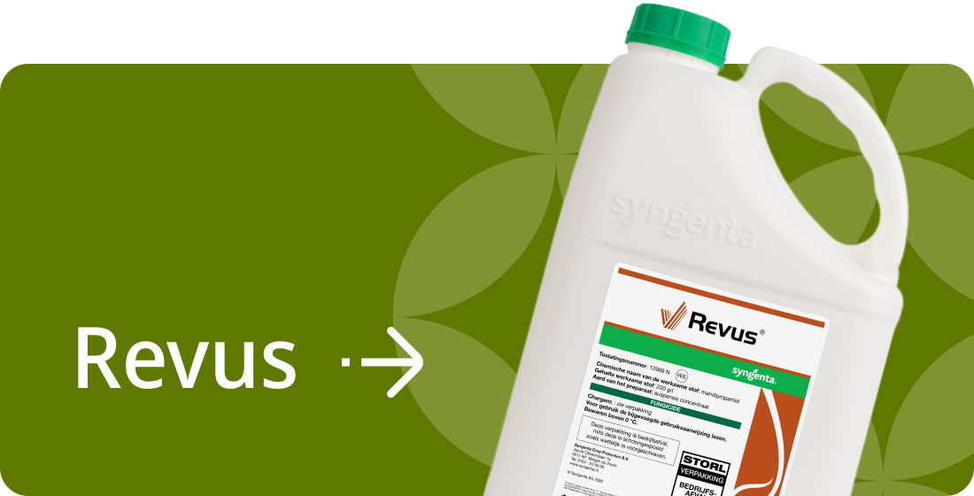 Ter voorkoming van Phytophthora heeft Syngenta een breed pakket aan middelen. REVUS  beschermt het bestaande en nieuwe loof lang en effectief.  inzetten als het schema uit de hand loopt en onder natte omstandigheden.