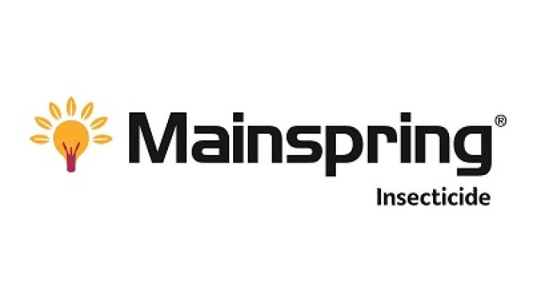 1536138634212269947-Mainspring logo 400x135.jpg