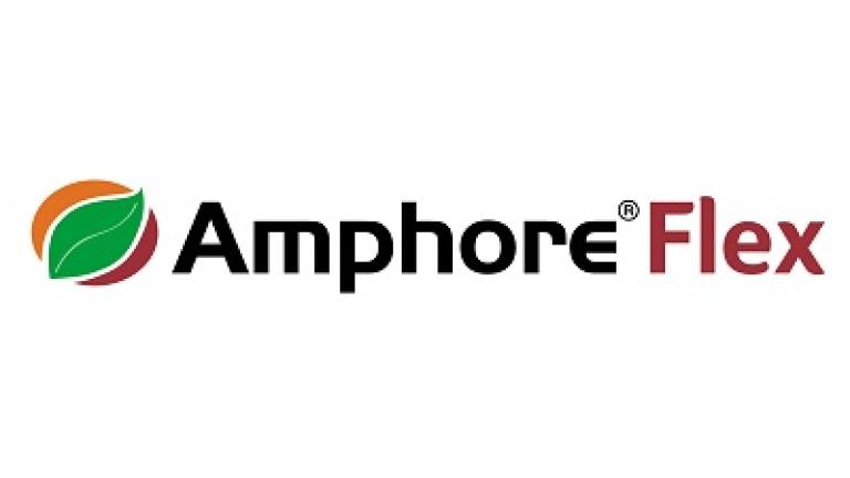 1496752569529571576-Amphore Flex logo 400x135.jpg