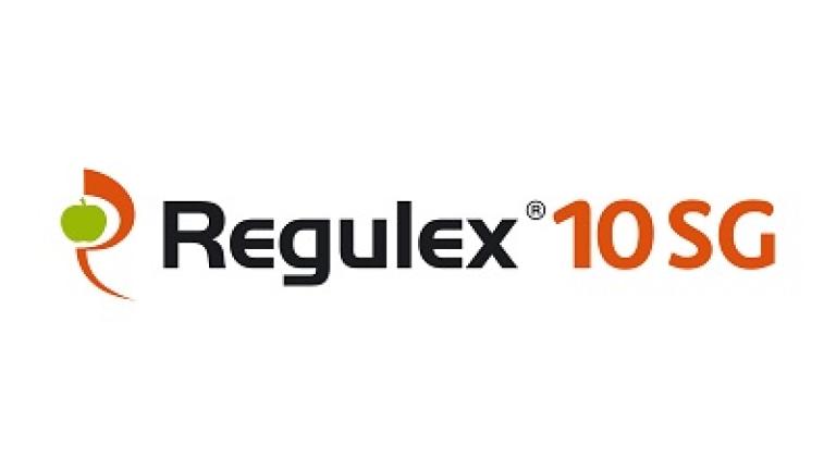 1496907303073080143-Regulex logo 400x135.jpg