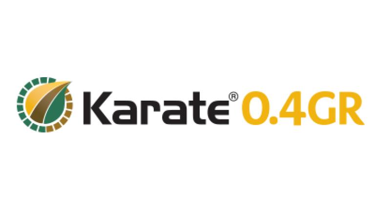 0249af11-e0d1-4675-9a75-676053c57f83-400x135_bnl_karate_0.4.jpg