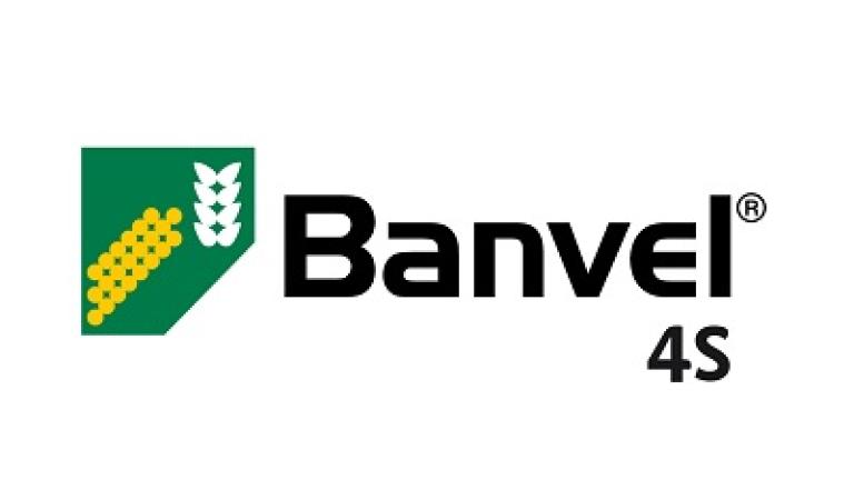1496753006949856161-Banvel 4S logo 400x135.jpg